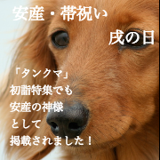 安産　帯祝い　戌の日