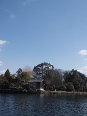 浮島水辺公園リンク